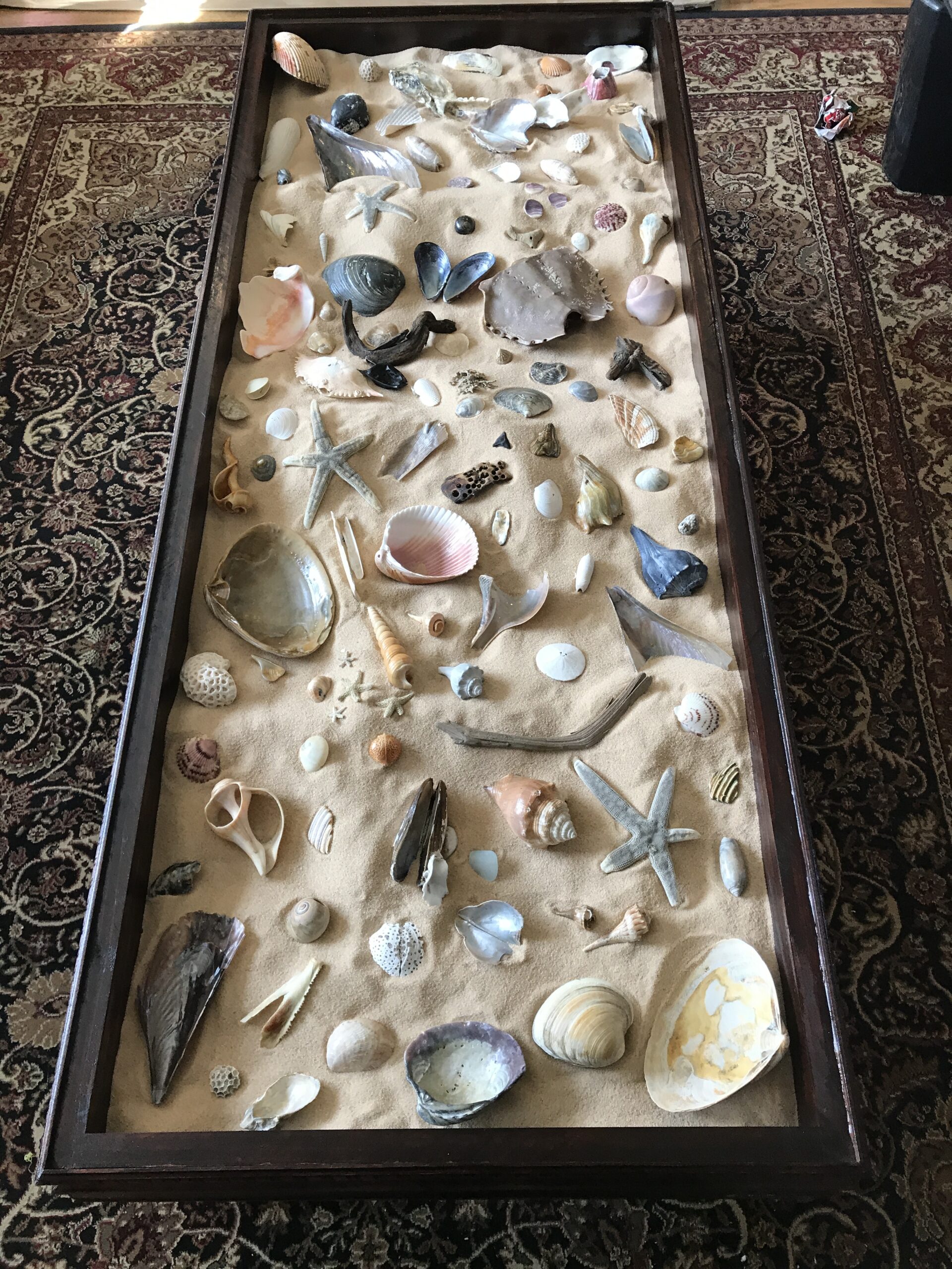 seashell.coffee.table.14