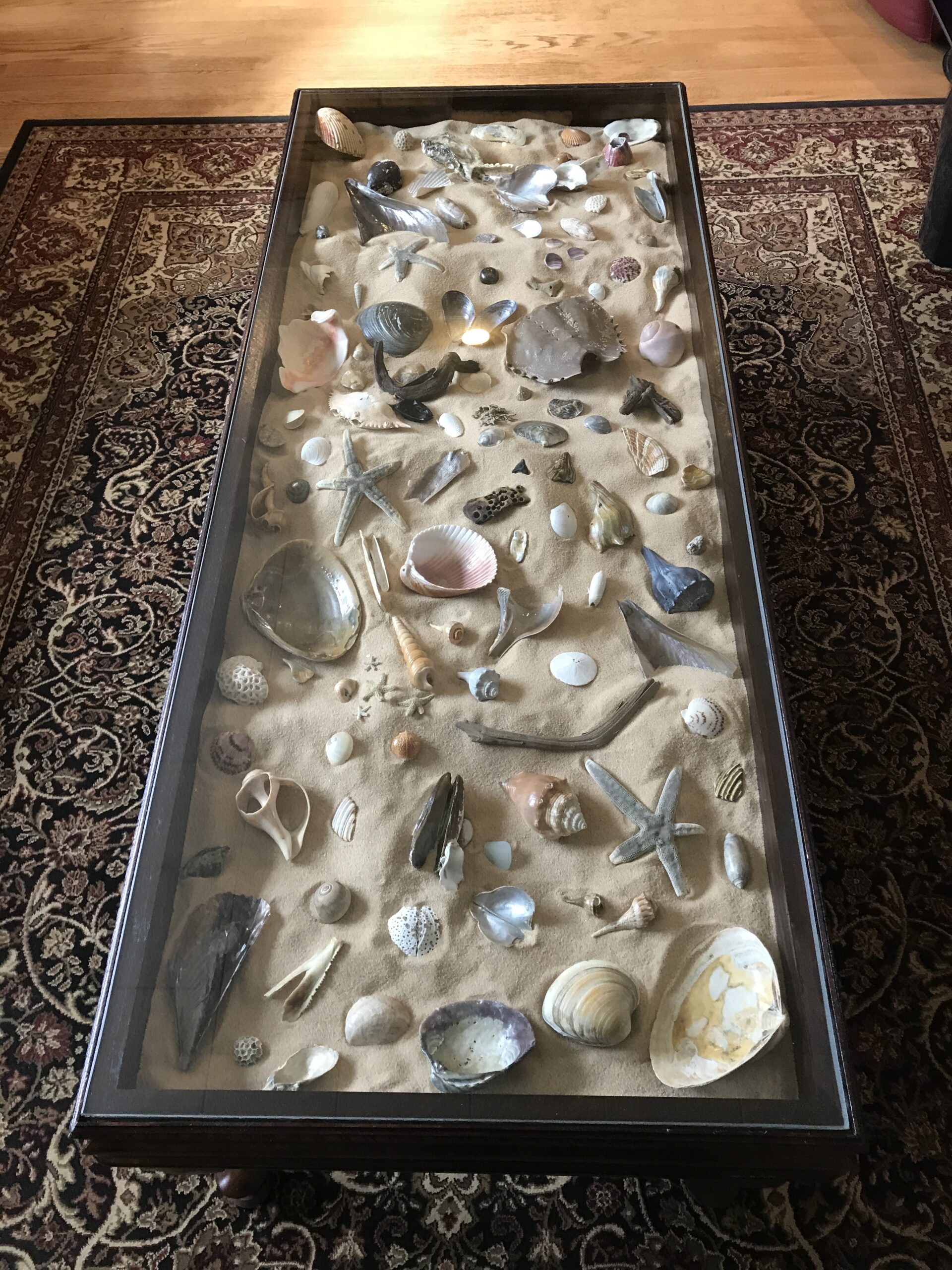 seashell.coffee.table.15