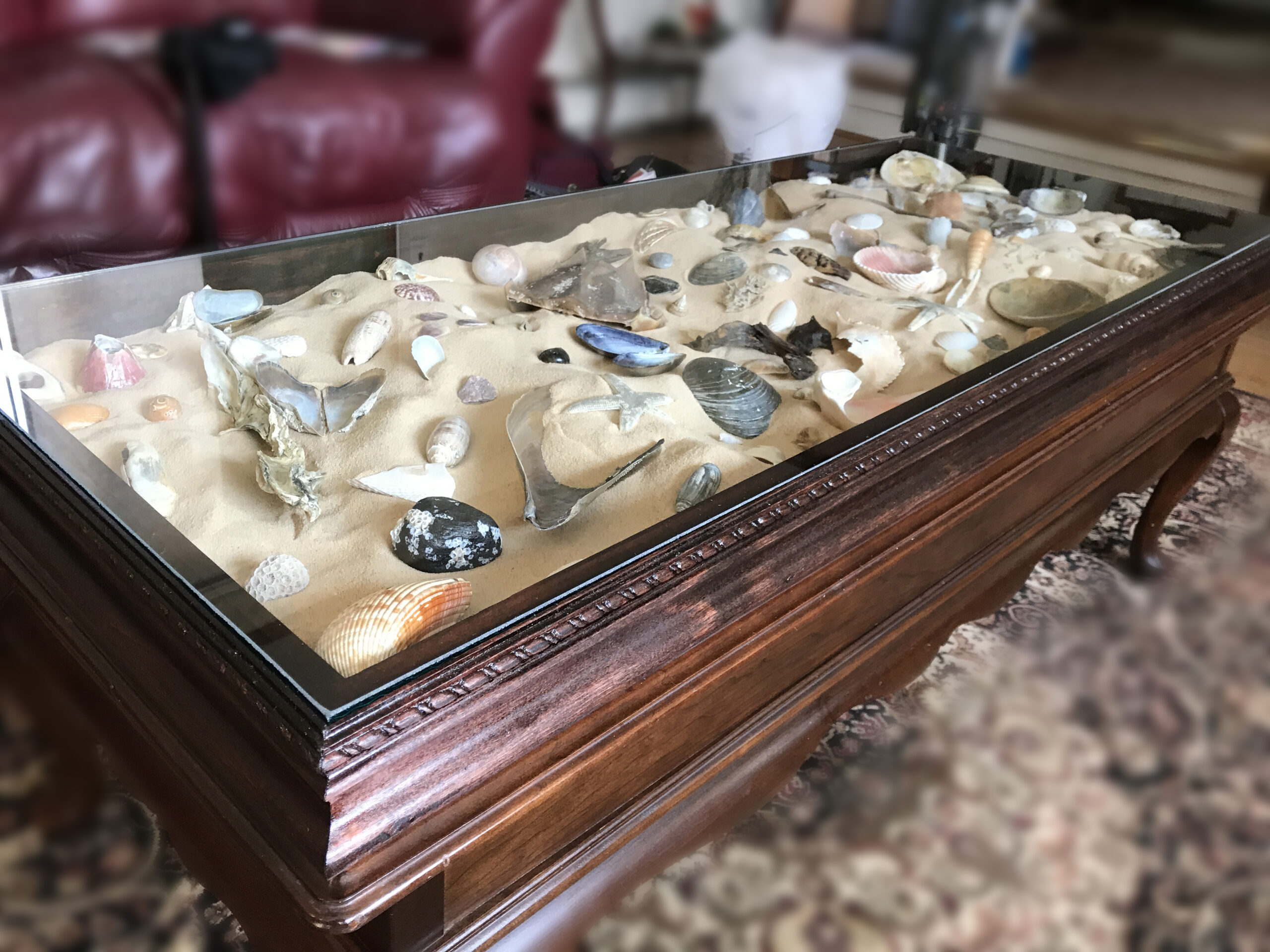 seashell.coffee.table.16